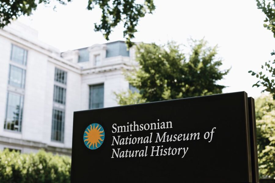 Washington DC: National Museum of Natural History Tour - Why a guided visit helps in an 18-football-field museum