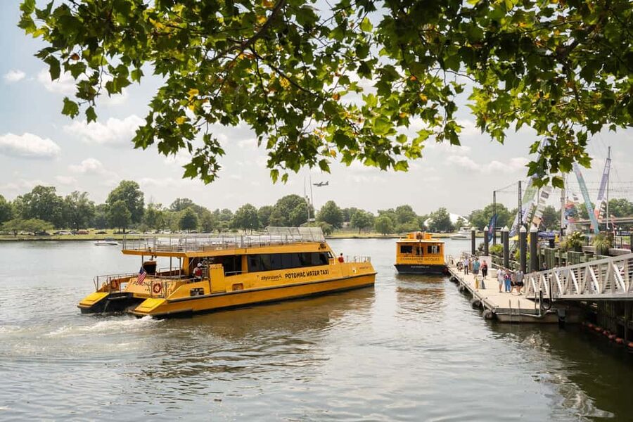 Washington DC: Potomac Cruise and Georgetown Walking Tour - The Baked & Wired cupcake stop