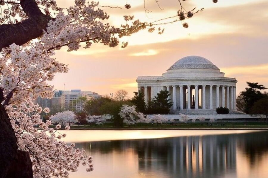 Washington DC: Private Custom Tour with a Local Guide - My booking advice