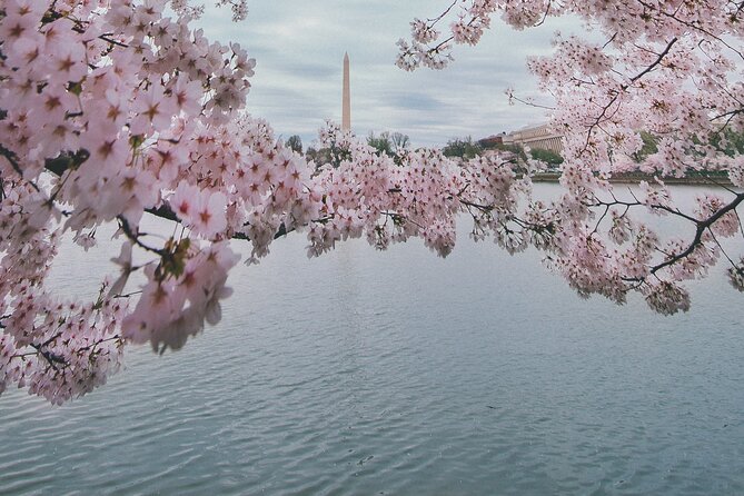 Washington DC Private Guided Bus Day Tour with Step Off Guide - Martin Luther King Jr. Memorial