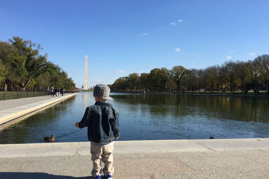 Washington, DC: Private National Mall Walking Tour - Key points to know before booking