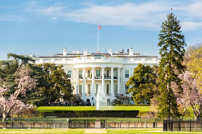 Washington DC Sight Seeing Private Tour-English or Spanish Option - National Cathedral and the northwest neighborhoods