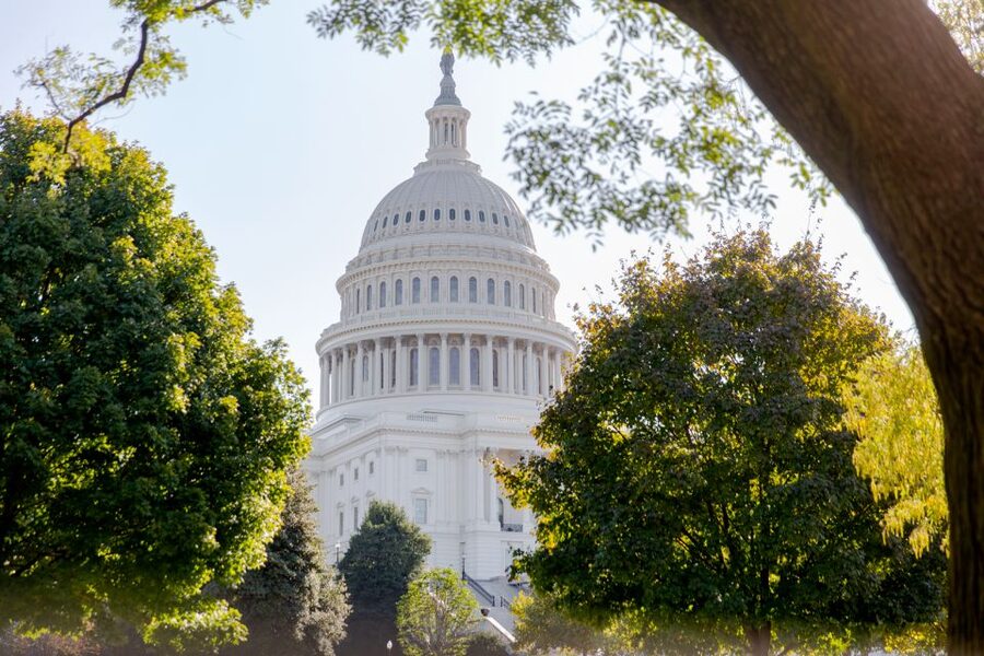 Washington DC: Washington Monument Entry & DC Highlights - Key points to know before booking
